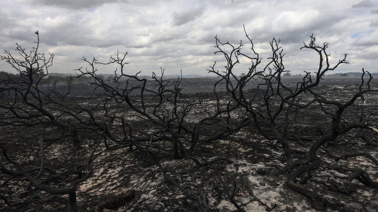 Fire damage at Dunwich Heath, Suffolk, in July 2026